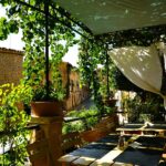 Terrasse en bois