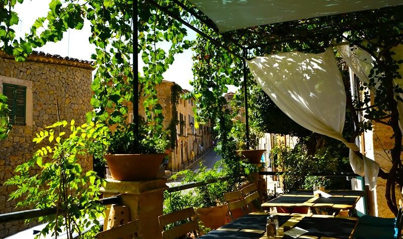 Terrasse en bois