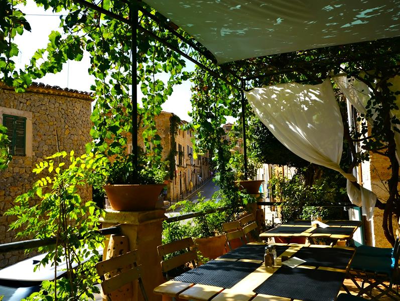 Terrasse en bois